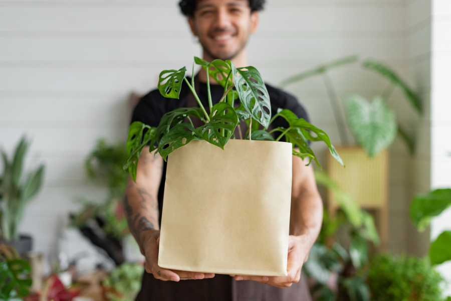 packaging eco friendly