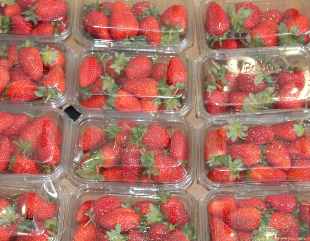 desain packaging box