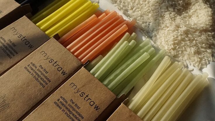 plant-based packaging